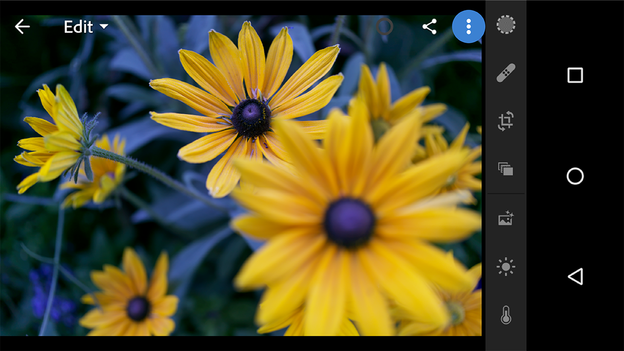 How do I share a picture that I have just edited in Adobe Photoshop ...